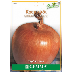 Onion | kipogeorgiki.live