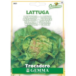 Lettuce Salad Trocadero | kipogeorgiki.live