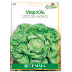 Lettuce Salad | kipogeorgiki.live