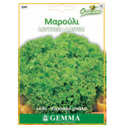 Lettuce Lola | kipogeorgiki.live