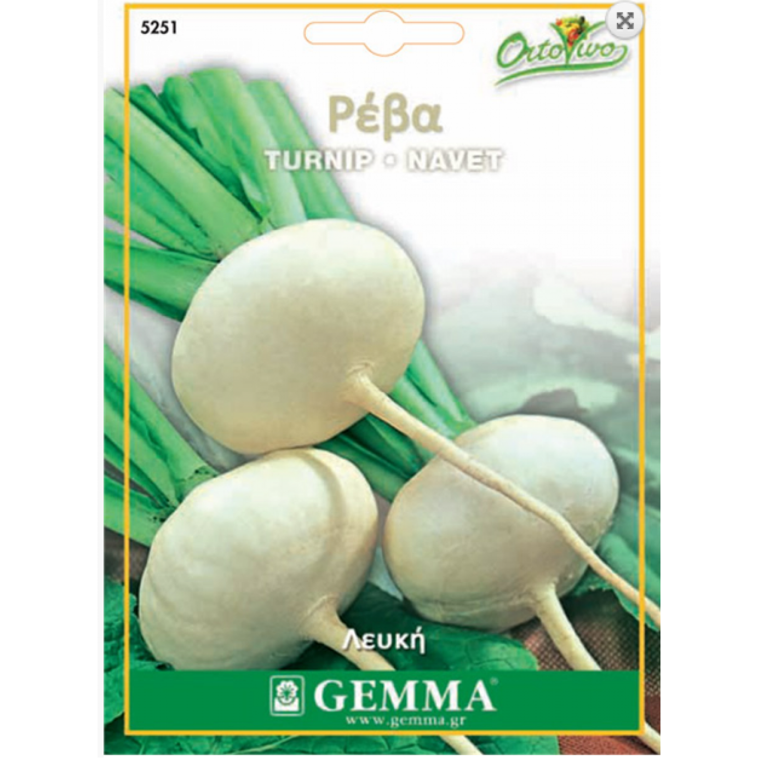 Turnip White | kipogeorgiki.live