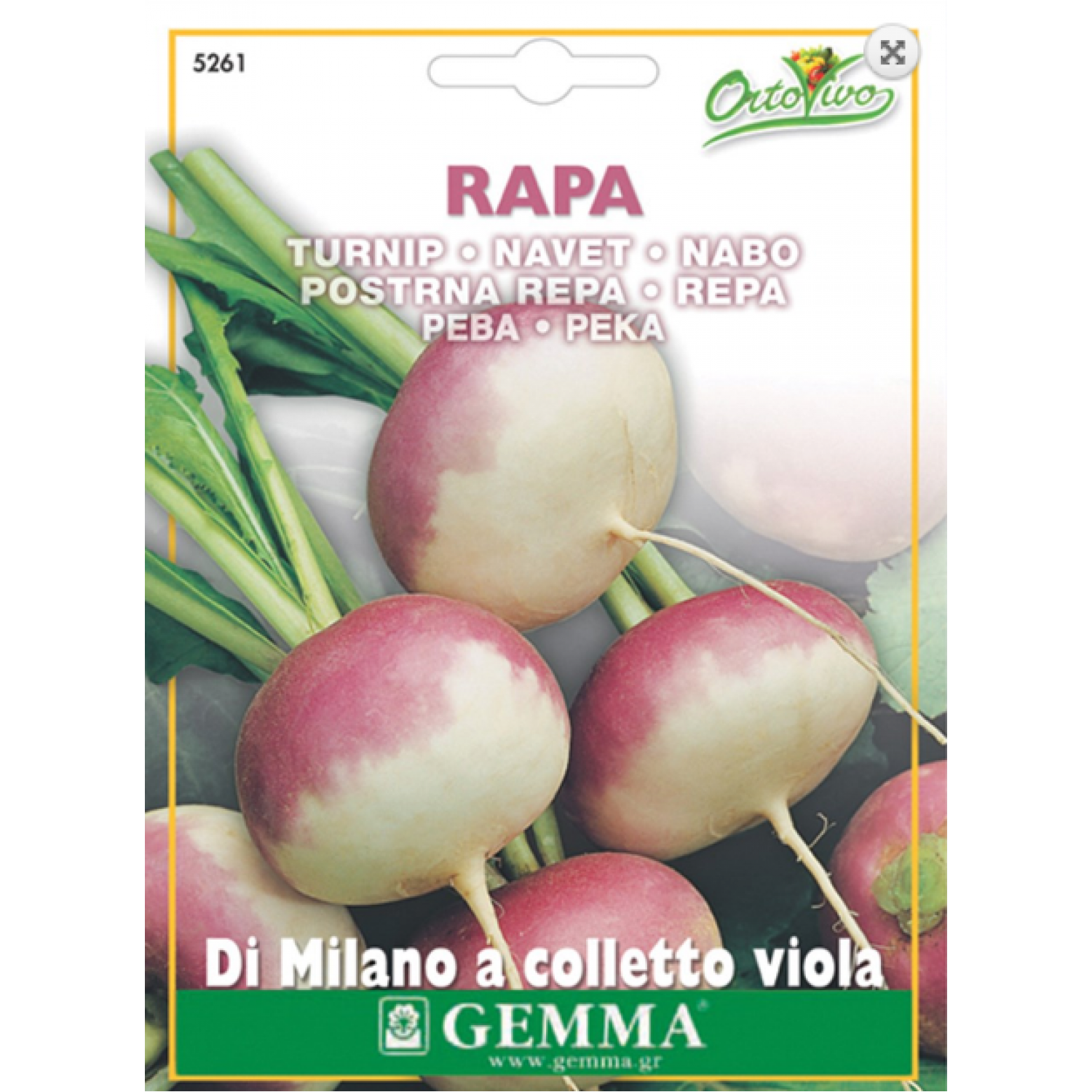Turnip | kipogeorgiki.live