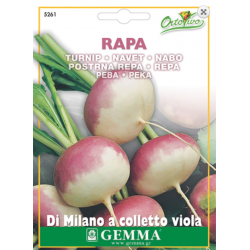 Turnip | kipogeorgiki.live