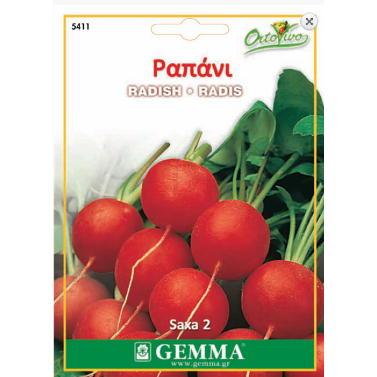 Radish Round Red Saxa 2 | kipogeorgiki.live
