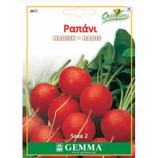 Radish Round Red Saxa 2 | kipogeorgiki.live