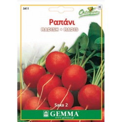 Radish Round Red Saxa 2 | kipogeorgiki.live