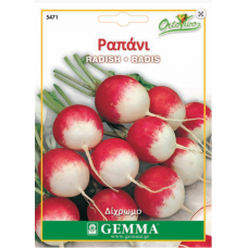 Radish Round Double Colour | kipogeorgiki.live