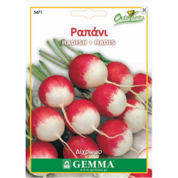 Radish Round Double Colour | kipogeorgiki.live