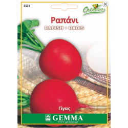 Radish Round Red Giant | kipogeorgiki.live