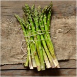 Asparagus officinalis|kipogeorgiki.live