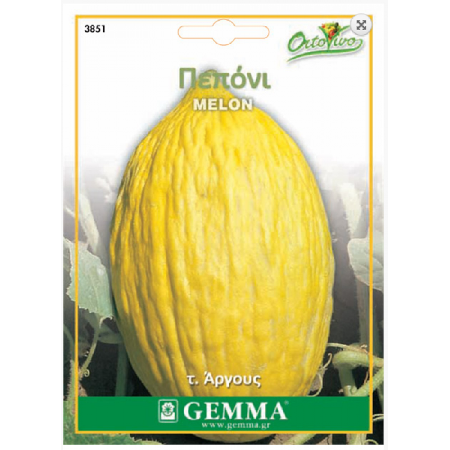 Melon Argous Type Seeds (Cucumis melo) | kipogeorgiki.live