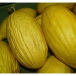 Melon Argous Type Seeds (Cucumis melo) | kipogeorgiki.live