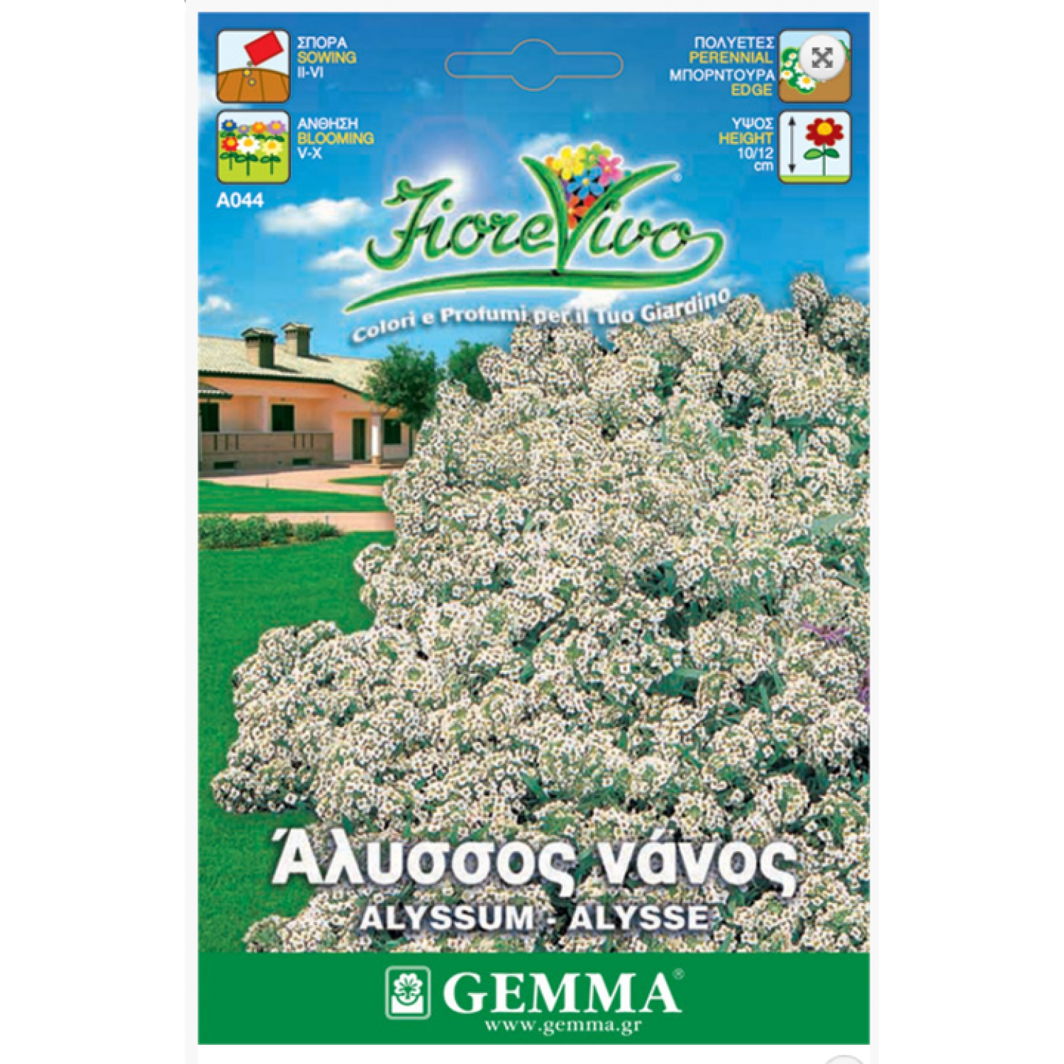 Sweet Alyssum White Dwarf Seeds 0.6g Packet (Alyssum maritimum) - Sweet Alyssums Seed Sweet Alyssum White Dwarf Seeds 0.6g Packet (Alyssum maritimum)