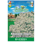 Sweet Alyssum White Dwarf Seeds 0.6g Packet (Alyssum maritimum) - Sweet Alyssums Seed Sweet Alyssum White Dwarf Seeds 0.6g Packet (Alyssum maritimum)