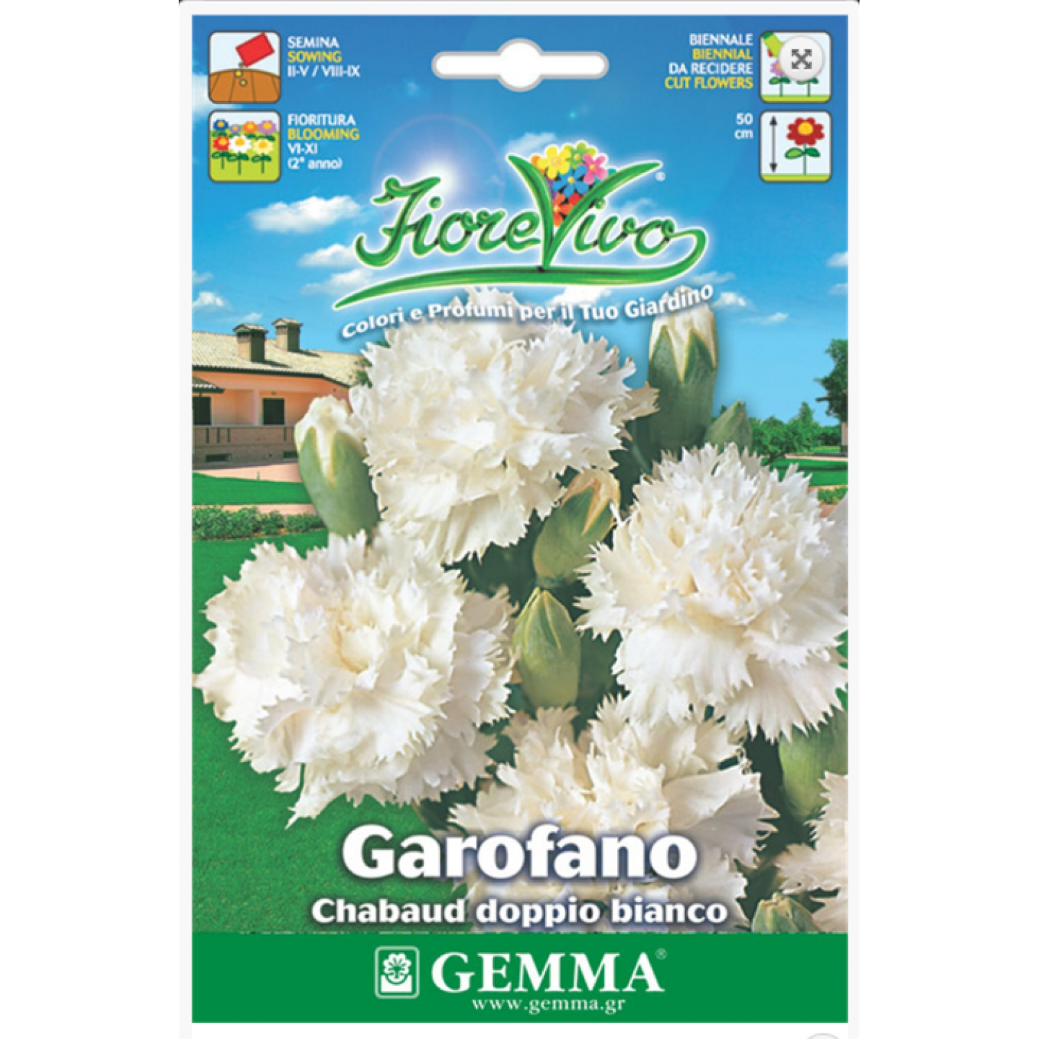 Carnation Double White Seeds 0.4g Packet (Dianthus caryophyllus) - Seed for Double Red Carnations Carnation Double White Seeds 0.4g-Dianthus caryophyllus