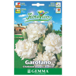 Carnation Double White Seeds 0.4g Packet (Dianthus caryophyllus) - Seed for Double Red Carnations Carnation Double White Seeds 0.4g-Dianthus caryophyllus