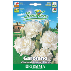 Γαρύφαλλο Διπλό Λευκό 0,4g Σπόροι-Dianthus caryophyllus