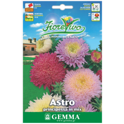 Άστερ ή Αστράκι Διπλό Μίγμα 70cm 1g Σπόροι (Aster spp.)