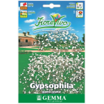 Common Gypsophila Seeds 2.5g Packet (Gypsophila paniculata) - Seed for Common Gypsophilas Common Gypsophila Seeds 2.5g (Gypsophila paniculata)
