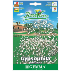 Γυψοφίλη Μικρό Άνθος 2,5g Σπόροι-Gypsophila paniculata