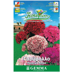 Γαρύφαλλο Ποιητών Διπλό 0,4g Σπόροι-Dianthus barbatus