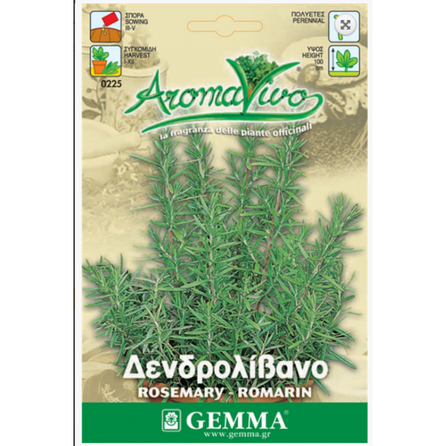 Δεντρολίβανο Σπόροι Φακελάκι 12642 (Rosmarinus officinalis) - Σπόρος για Δεντρολίβανα Δεντρολίβανο Σπόροι Φακελάκι (Rosmarinus officinalis)