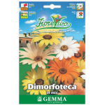 Διμορφοθήκη Μίγμα 0,3g Σπόροι Φάκελος (Dimorphotheca aurantiaca) - Σπόρος για Διμορφοθήκες Διμορφοθήκη Μίγμα 0,3g Σπόροι-Dimorphotheca aurantiaca