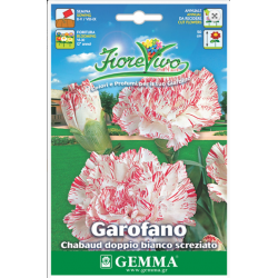 Γαρύφαλλο Διπλό Δίχρωμο 0,4g Σπόροι-Dianthus caryophyllus