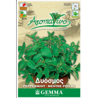 Μέντα Σπόροι Φακελάκι 12643 (Mentha piperita)