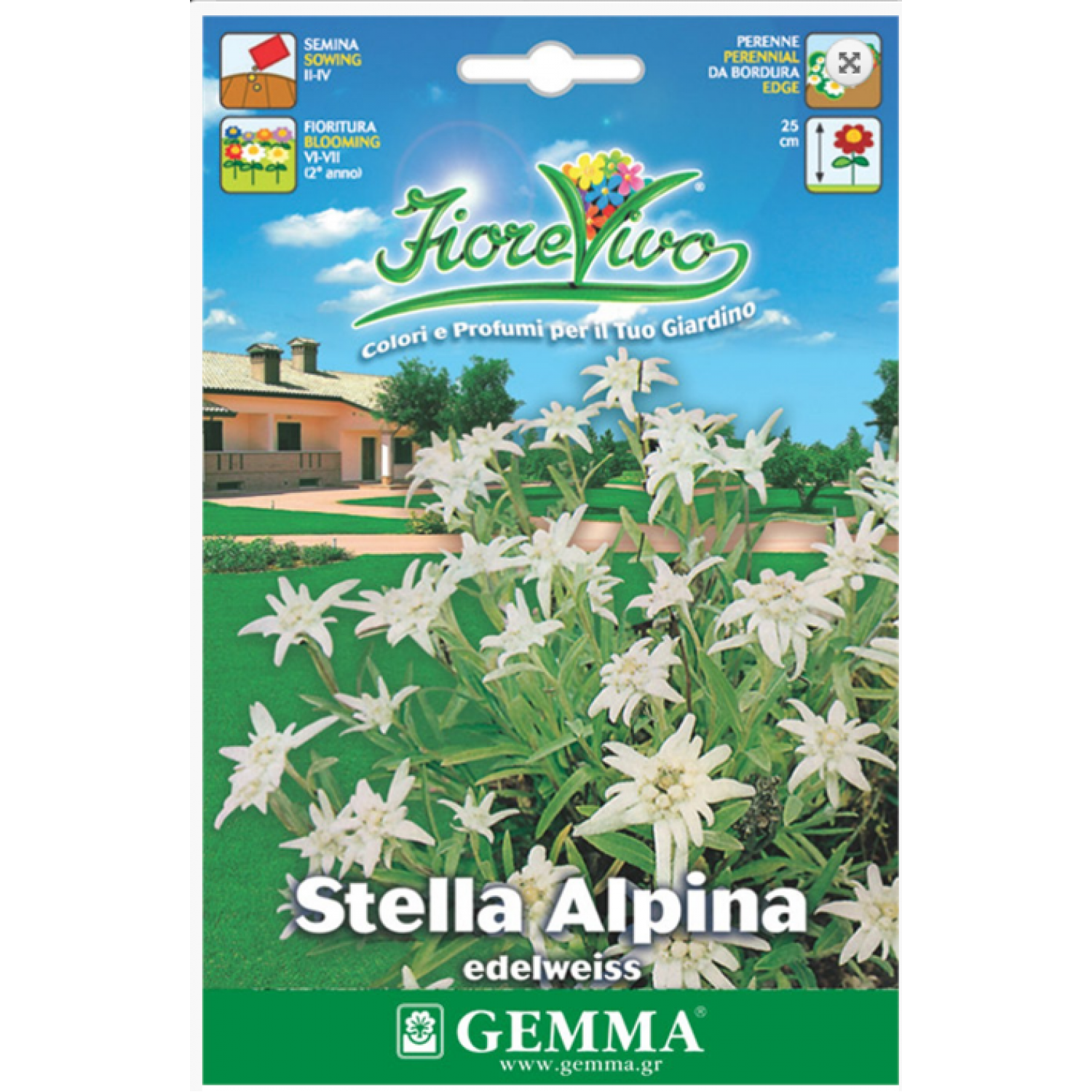 Edelweiss White Seeds 0.5g Packet (Leontopodium nivale) - Seed for Edelweiss Edelweiss White Seeds 0.5g Packet (Leontopodium nivale)