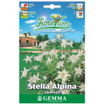 Edelweiss White Seeds 0.5g Packet (Leontopodium nivale) - Seed for Edelweiss Edelweiss White Seeds 0.5g Packet (Leontopodium nivale)