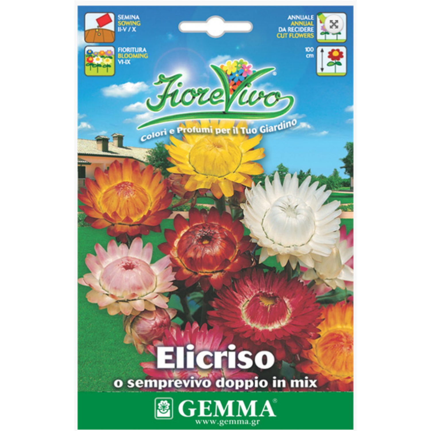 Strawflower Double Mix Seeds 10g-Helichrysum bracteatum