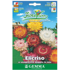 Ελίχρυσο Διπλό Μίγμα 10g Σπόροι-Helichrysum bracteatum