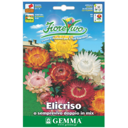Ελίχρυσο Διπλό Μίγμα 10g Σπόροι-Helichrysum bracteatum