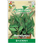 Common Sage Seeds Packet 12658 (Salvia officinalis) - Seed for Common Sages Common Sage Seeds Packet 12658 (Salvia officinalis)