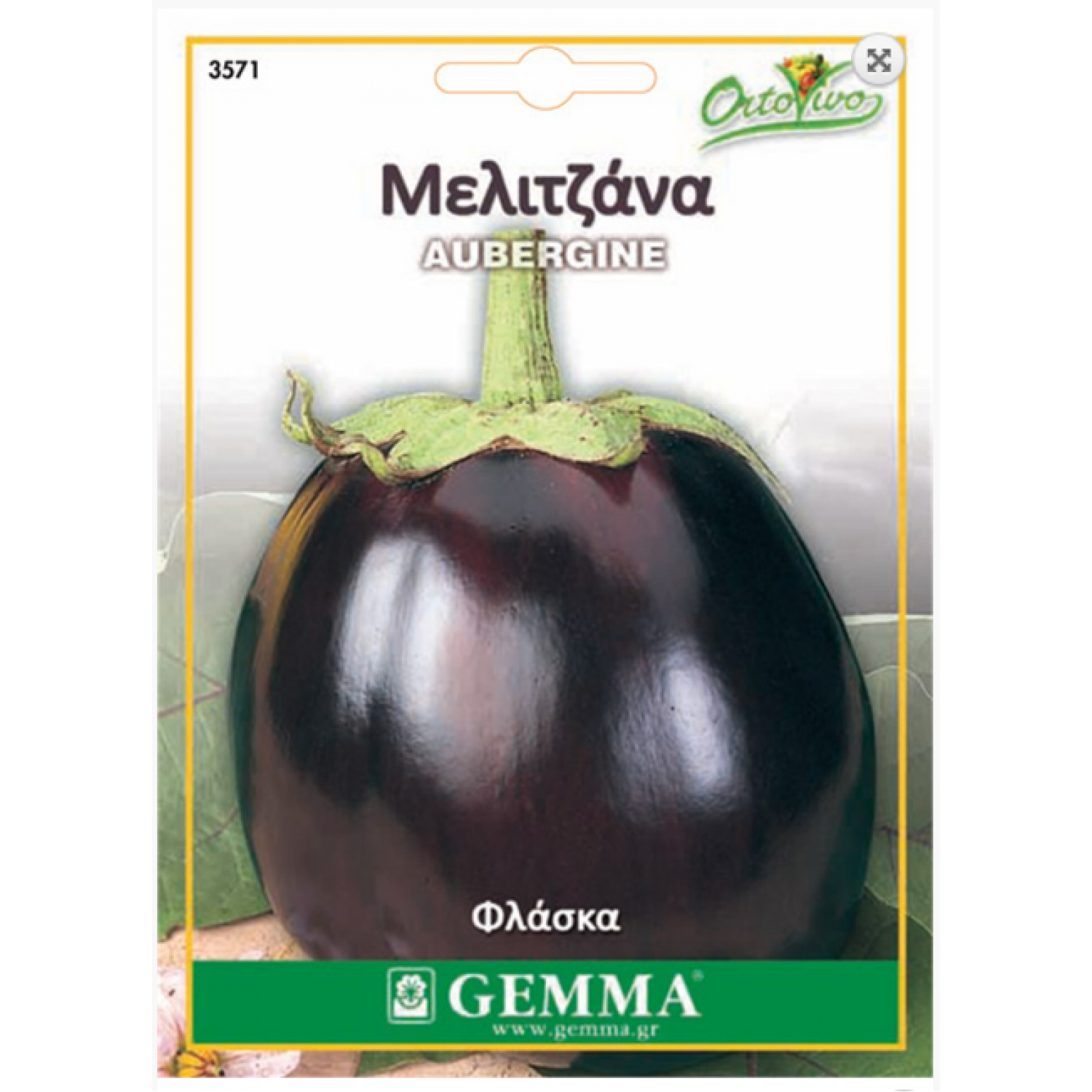 Μελιτζάνα Φλάσκα Μαύρη Σπόροι (Solanum melongena) | kipogeorgiki.live