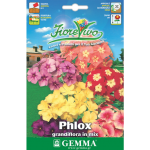 Φλοξ ή Φλοξάκι Μίγμα 1g Σπόροι Φάκελος-Phlox drummondii