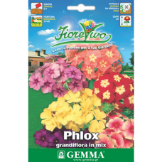 Φλοξ ή Φλοξάκι Μίγμα 1g Σπόροι Φάκελος-Phlox drummondii