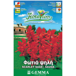 Φωτιά Ψηλή 0,3g Σπόροι Φάκελος (Salvia splendens)