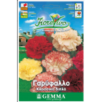 Carnation Double Mix Seeds 0.4g Packet (Dianthus caryophyllus) - Seed for Double Carnations Carnation Double Mix Seeds 0.4g (Dianthus caryophyllus)