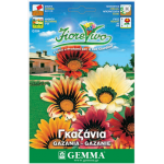 Treasure Flower Mix Seeds 0.15g Packet (Gazania splendens) - Seed for Treasure Flowers Treasure Flower Mix Seeds 0.15g (Gazania splendens)