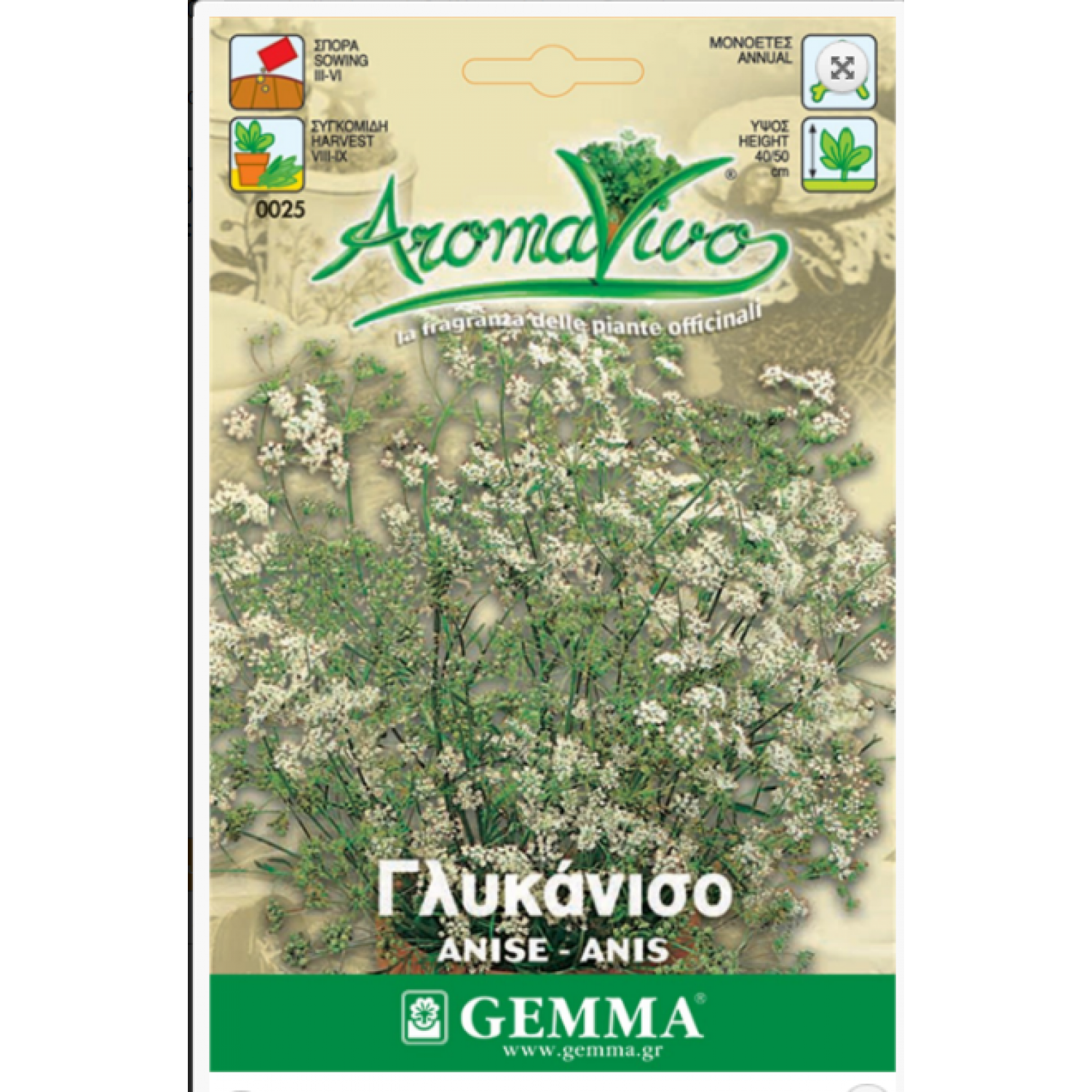 Γλυκάνισος Σπόροι Φακελάκι 12640 (Pimpinella anisum)