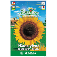 Ήλιος Νάνος Διπλός 1g Σπόροι Φάκελος-Helianthus annuum