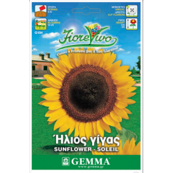 Ήλιος Νάνος Διπλός 1g Σπόροι Φάκελος-Helianthus annuum
