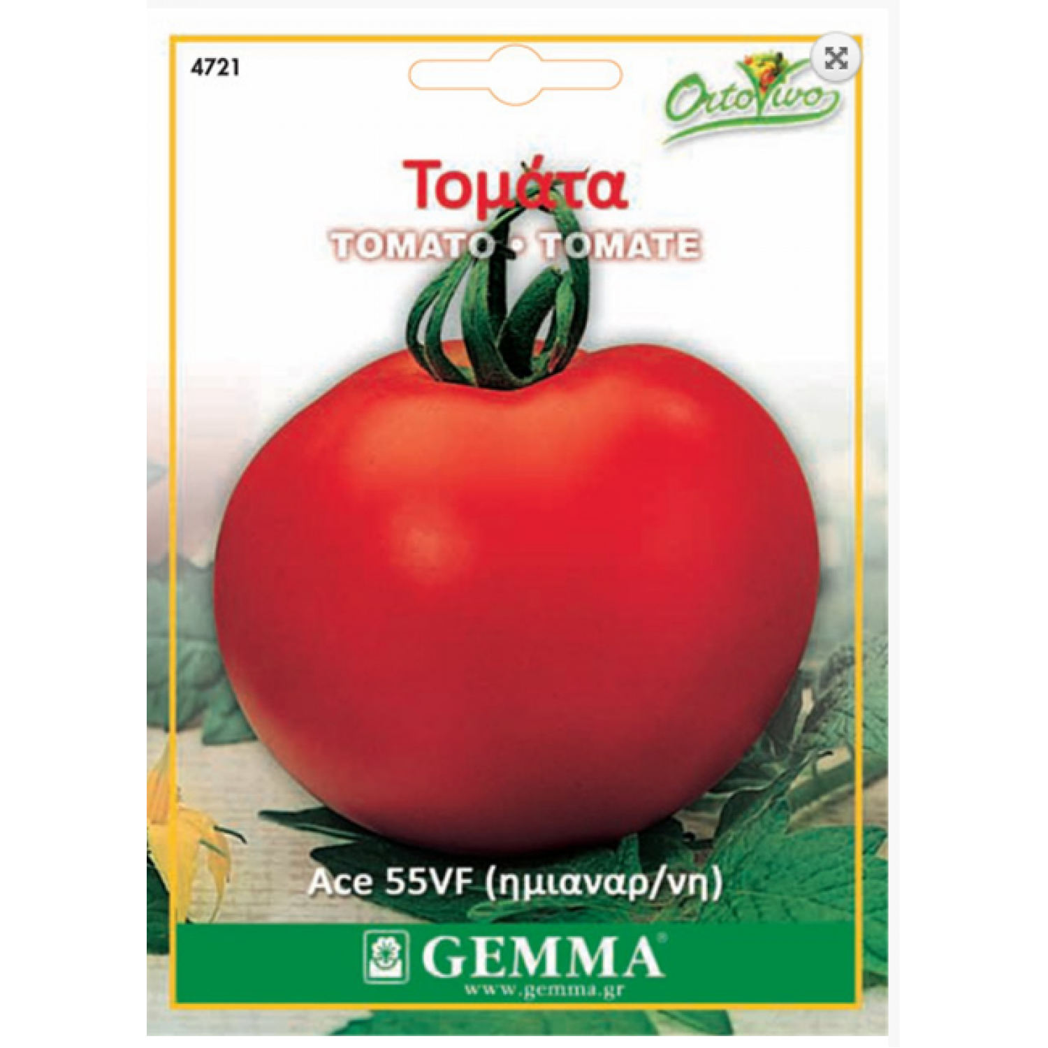 Tomato Ace|kipogeorgiki.live