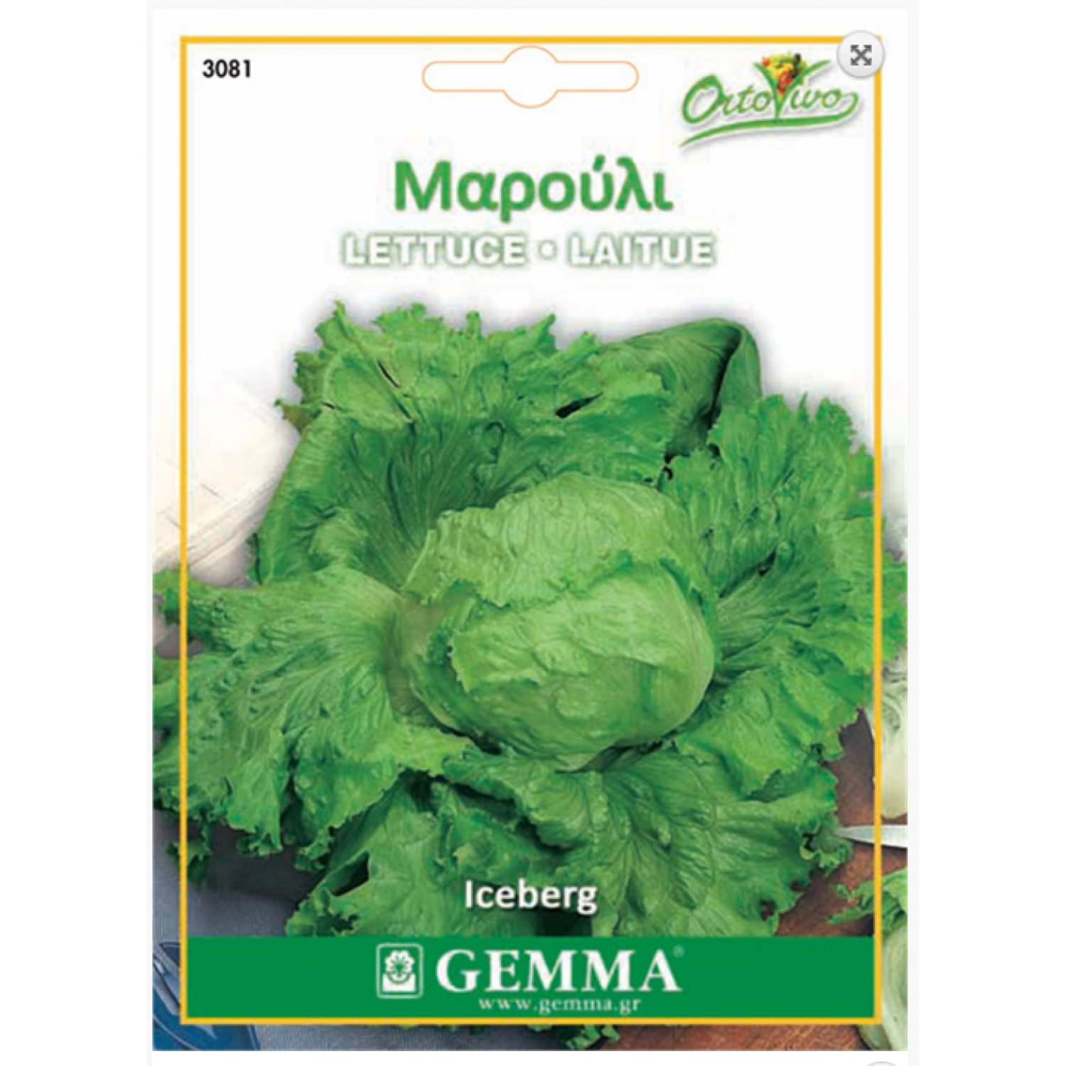 Lettuce Iceberg Seeds (Lactuca sativa) Lettuce Iceberg Seeds (Lactuca sativa) | kipogeorgiki.live