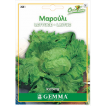 Lettuce Iceberg Seeds (Lactuca sativa) Lettuce Iceberg Seeds (Lactuca sativa) | kipogeorgiki.live