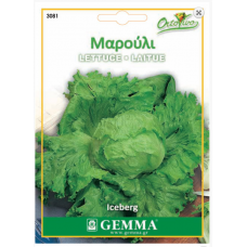 Μαρούλι Τύπου Iceberg Σπόροι (Lactuca sativa) | kipogeorgiki.live