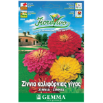 Common Zinnia California Giant Double Mix Seeds 0.9g Packet (Zinnia elegans) - Seed for Zinnias Common Zinnia California Giant Double Mix Seeds 0.9g