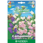 Peach-Leaved Bellflower Mix Seeds 0.5g Packet (Campanula persicifolia 'Grandiflora') - Seed for Bellflowers Peach-Leaved Bellflower Mix Seeds 0.5g Packet